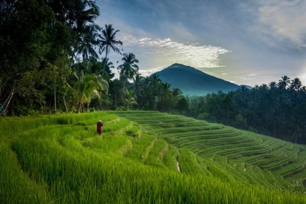 bali digitale nomaden