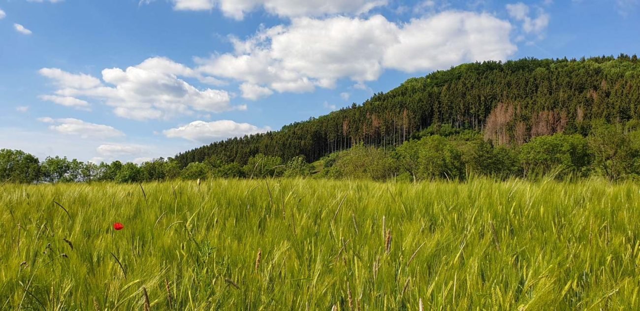 Jahresrückblick 2019