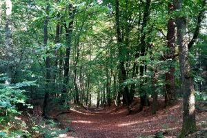 Furlbachtal_wandern